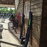 Rex - Bebeka's