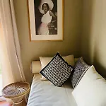 Rex - Bebeka's Hotel