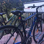 Rex - Bebeka's Hotel 3*
