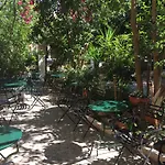 מלון Rex - Bebeka's 3*