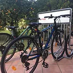 Hotel Rex - Bebeka's 3*