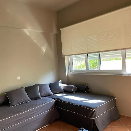 Rex - Bebeka's 3* Захаро