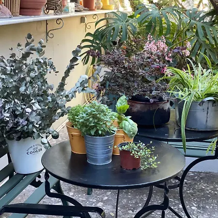 Rex - Bebeka's Отель Захаро