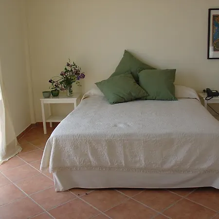 Rex - Bebeka's 3* Захаро