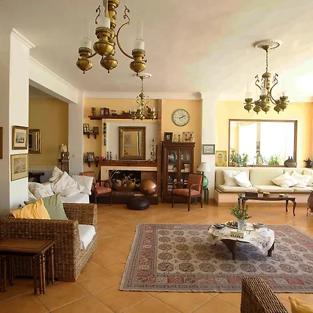 Rex - Bebeka's Захаро