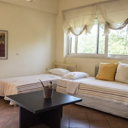 Rex - Bebeka's Захаро