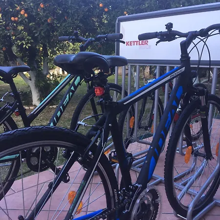 Rex - Bebeka's Отель 3*