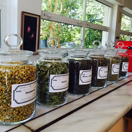 Rex - Bebeka's 3* Захаро