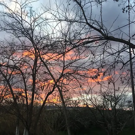 Отель Rex - Bebeka's Захаро