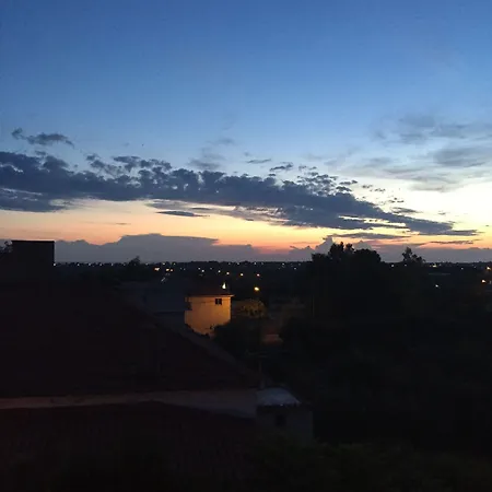 Rex - Bebeka's Hotel