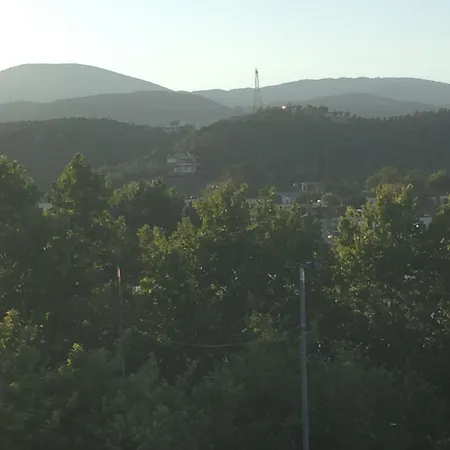 Rex - Bebeka's 3* Захаро