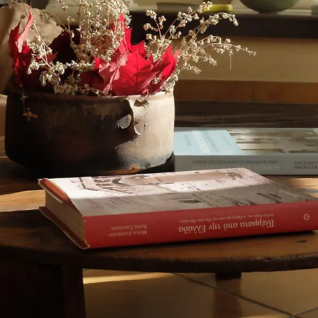 Rex - Bebeka's Отель Захаро