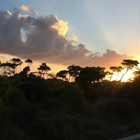 Отель Rex - Bebeka's 3*