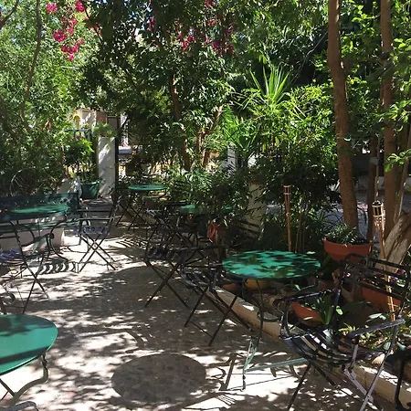 Отель Rex - Bebeka's 3*