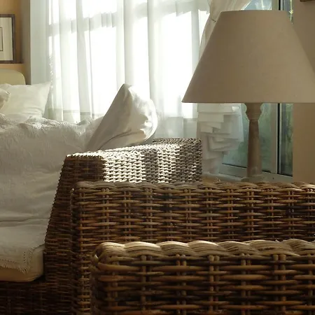 Ξενοδοχείο Rex - Bebeka's