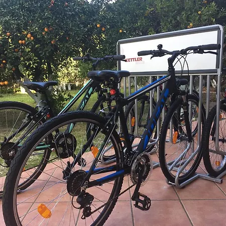 Отель Rex - Bebeka's 3*