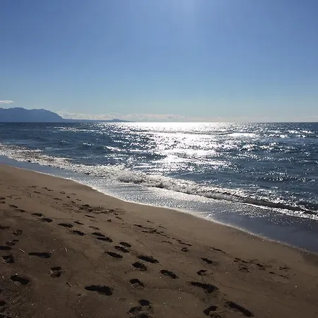 Rex - Bebeka's 3* Захаро