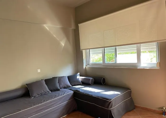 Rex - Bebeka's 3* Zacharo