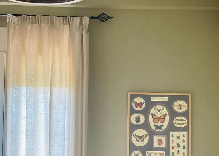 Hotel Rex - Bebeka's 3*