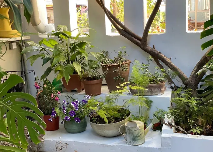 Hotel Rex - Bebeka's 3*