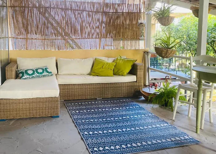 Rex - Bebeka's Zacharo