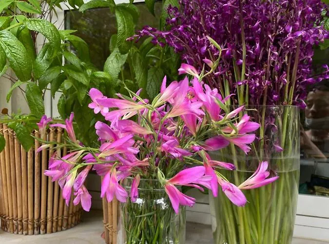 Rex - Bebeka's Zacharo