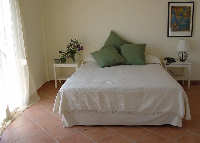 Rex - Bebeka's 3* Zacharo