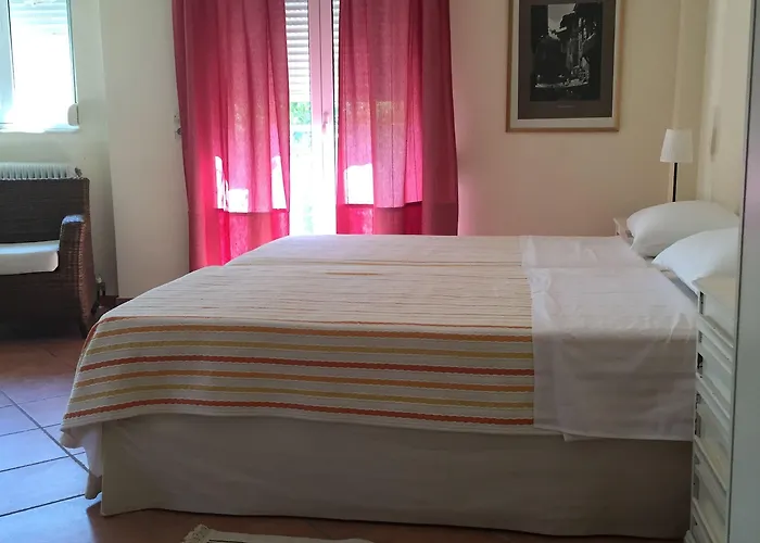 Rex - Bebeka's Hotel Zacharo