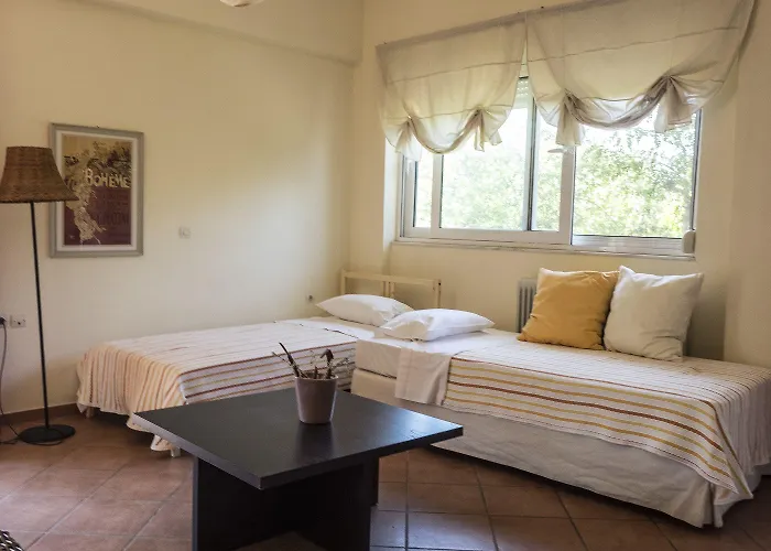 Rex - Bebeka's Zacharo