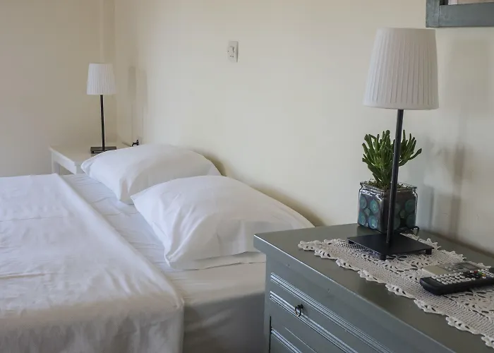 Rex - Bebeka's Zacharo