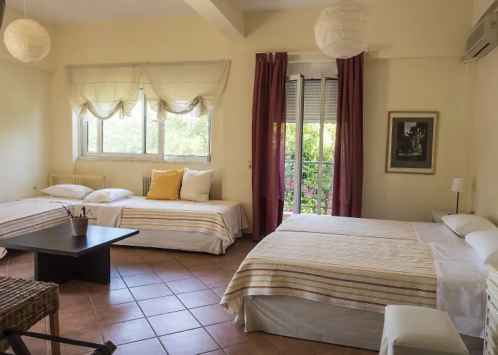 Rex - Bebeka's 3* Zacharo