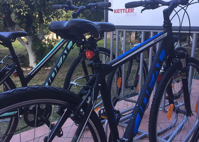 Rex - Bebeka's Hotel 3*