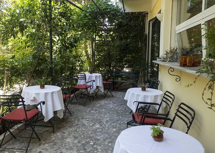 Rex - Bebeka's Hotel 3*