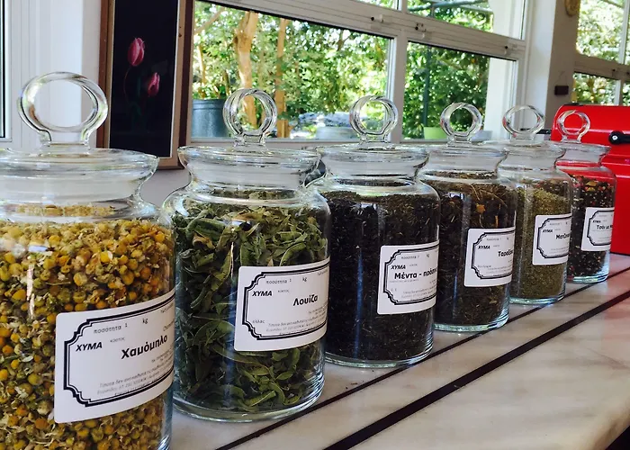 Rex - Bebeka's 3* Zacharo