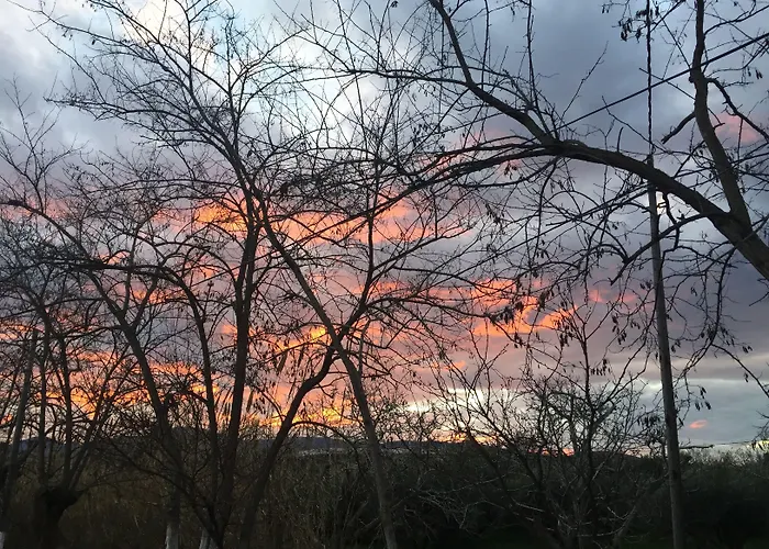 Hotel Rex - Bebeka's Zacharo