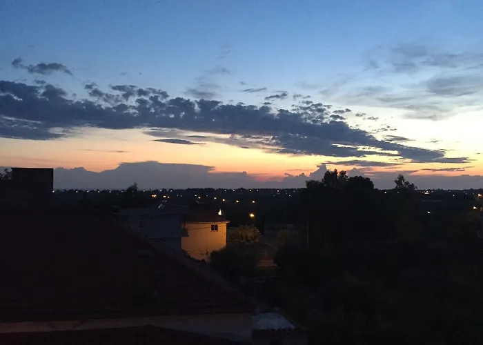 Rex - Bebeka's Hotel