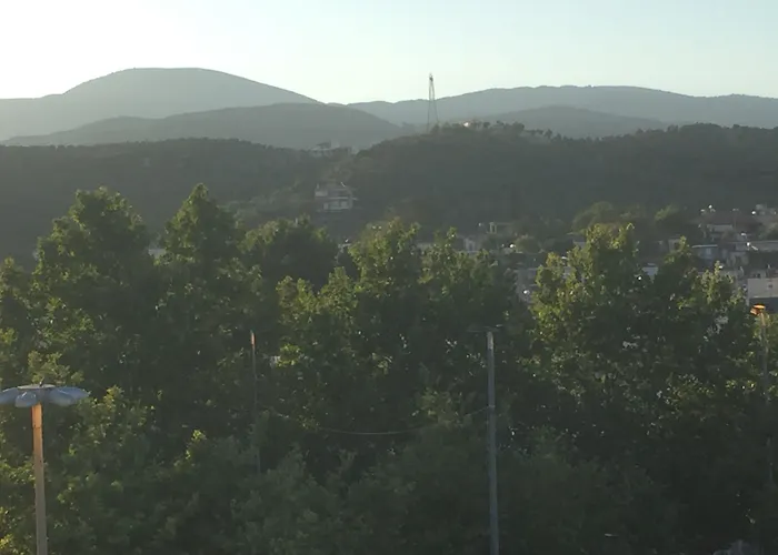 Rex - Bebeka's 3* Zacharo