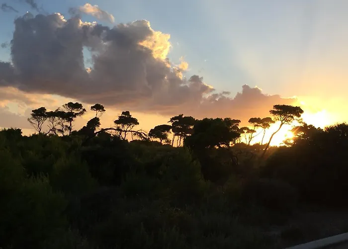 Hotel Rex - Bebeka's 3*