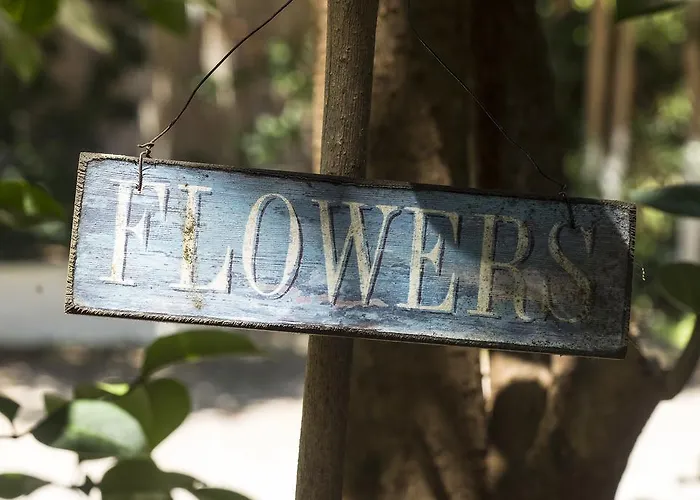 Hotel Rex - Bebeka's Zacharo