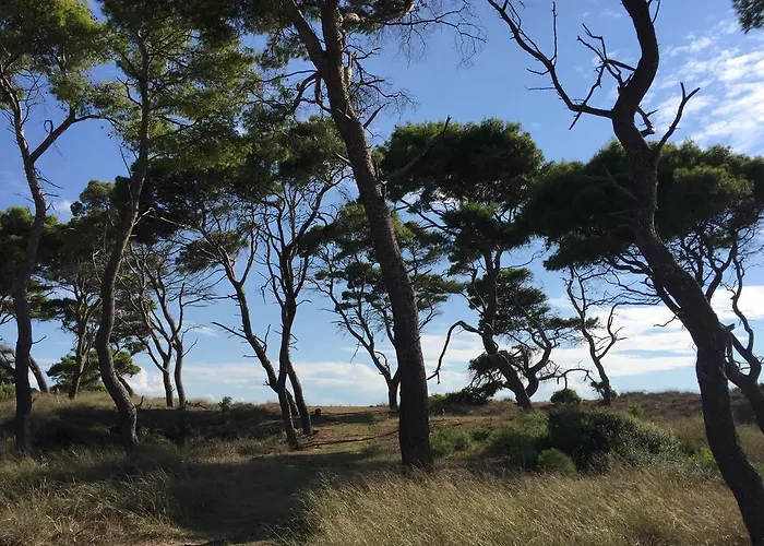 Rex - Bebeka's Hotel 3*