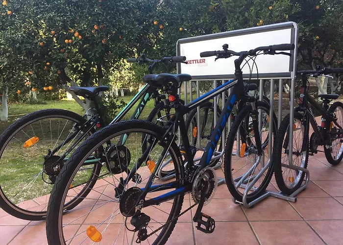 Hotel Rex - Bebeka's 3*