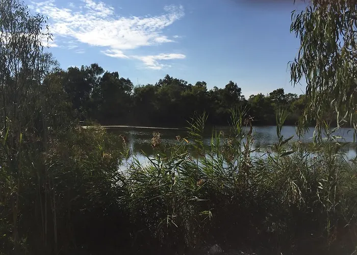 Rex - Bebeka's Zacharo