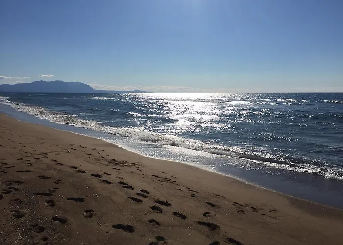 Rex - Bebeka's 3* Zacharo