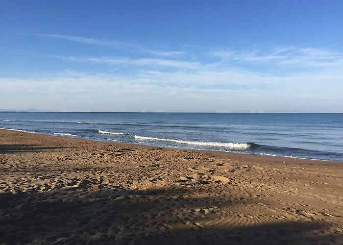 Rex - Bebeka's Hotel